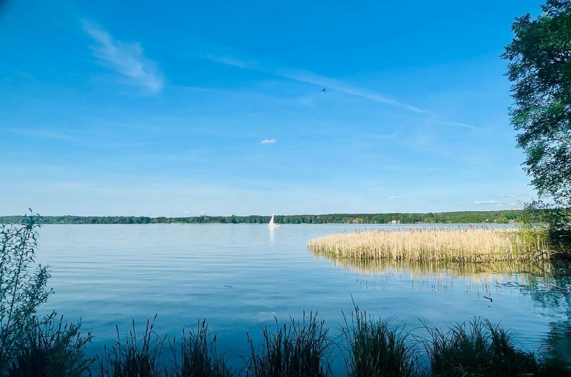 Ferienhaus Am Silberberg, Bad Saarow Exteriör bild