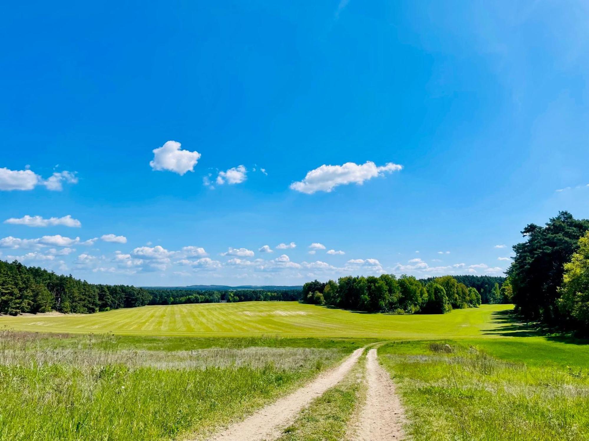 Ferienhaus Am Silberberg, Bad Saarow Exteriör bild